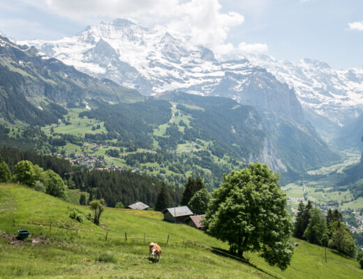 Wanderung Wengen