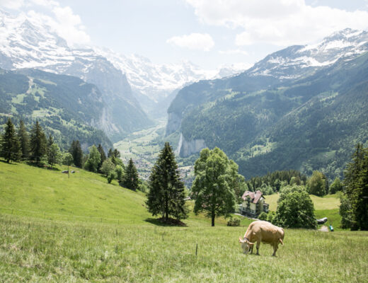 Wanderung Wengen